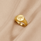 Golden Hummingbird Signet Ring