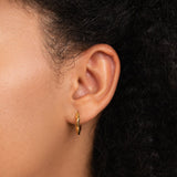 Lala Twisted Hoop Earrings