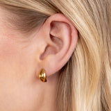 Mini Curve Earrings