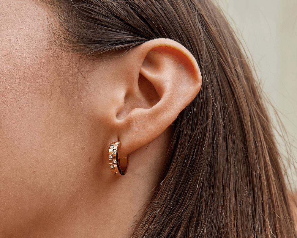 Tasha Crystal & Gold Hoop Earrings